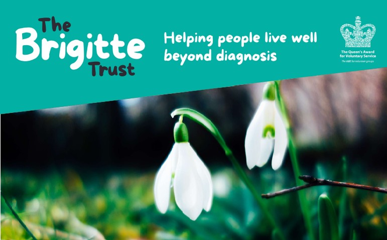 A graphic image of Brigitte Trust logo and flowers
